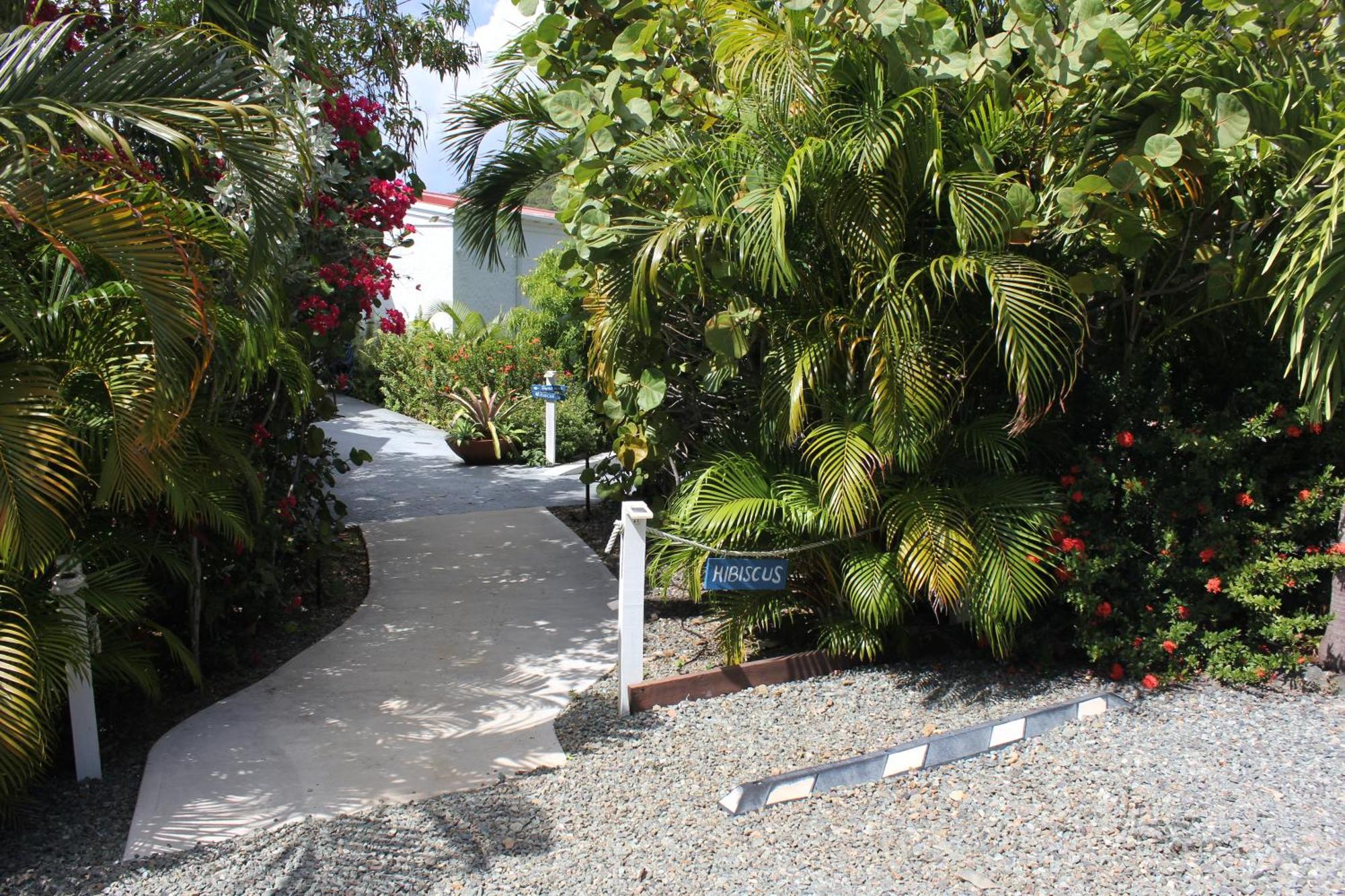 Beautiful Honeymoon Suite at Sunset Serenade Cruz Bay Exterior foto